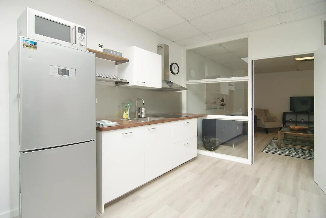 Stunning Apartments Close To Amstel River Amsterdam